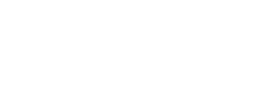 selsunbluecare.it